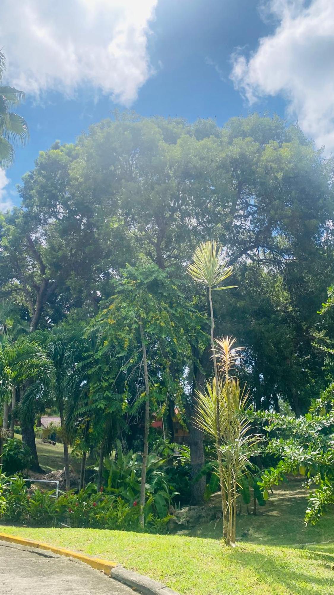 Secret Garden Villa Sainte-Anne Exterior photo