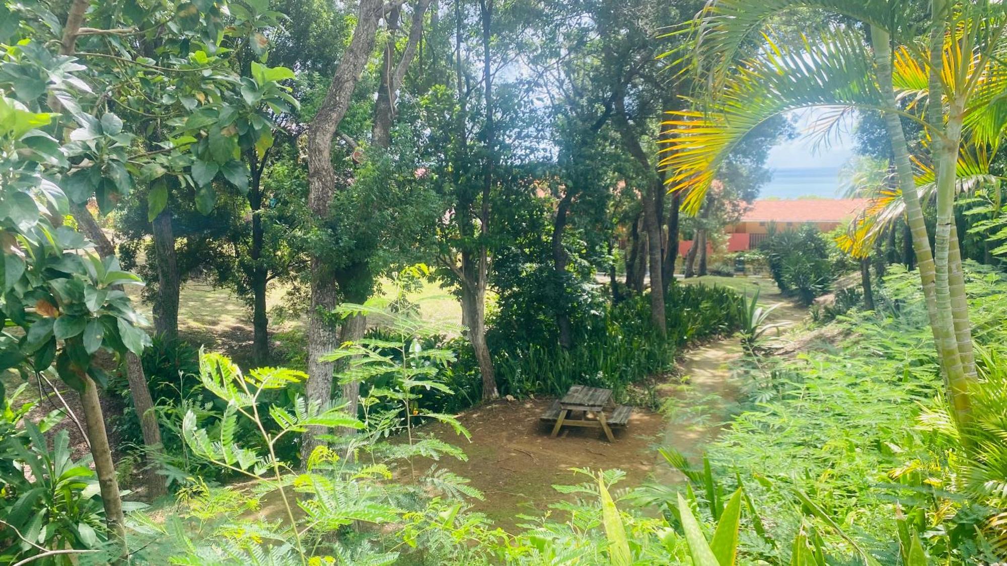Secret Garden Villa Sainte-Anne Exterior photo